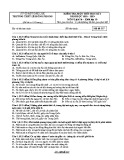 Đề kiểm tra 1 tiết HK1 môn Lịch sử lớp 10 năm 2018-2019 - THPT Lê Hồng Phong - Mã đề 557