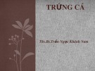 Bài giảng Trứng cá - Ths.Bs. Trần Ngọc Khánh Nam