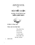 Tiểu luận môn Cơ sở thiết kế máy - Mối ghép ren
