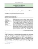 Workplace ethics as an instrument to expedite supply chain management in Bahrain