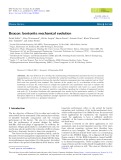 Beacon: bentonite mechanical evolution
