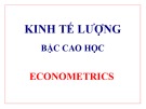 Bài giảng Kinh tế lượng (Bậc cao học)