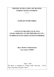 Summary of Phd thesis Business administration: A study of the impacts of ceo’s characteristics on the performance of a number of outstanding listed enterprises