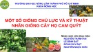 Bài thuyết trình Một số giống chủ lực và kỹ thuật nhân giống cây họ cam quýt