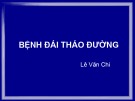 Bài giảng môn Nội bệnh lý: Bệnh đái tháo đường