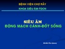 Bài giảng Siêu âm động mạch cảnh, đốt sống - BS. Bùi Phú Quang