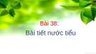 Bài thuyết trình Sinh học lớp 8 - Bài 38: Bài tiết nước tiểu