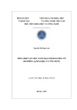 Luận văn Thạc sĩ Hóa học: Tổng hợp vật liệu nano bạc/chấm lượng tử graphen (AgNPs/GQDs) và ứng dụng