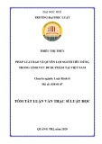 Tóm tắt Luận văn Thạc sĩ Luật học: Pháp luật bảo vệ quyền lợi người tiêu dùng trong lĩnh vực dược phẩm tại Việt Nam