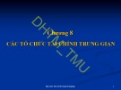 Bài giảng Nhập môn tài chính tiền tệ: Chương 8 - ĐH Thương Mại