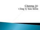 Bài giảng Định chế tài chính - Chương 13: Công ty bảo hiểm