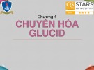 Bài giảng Hóa sinh – Chương 4: Chuyển hóa glucid