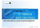 Bài giảng Chương 5: Ô nhiễm môi trường