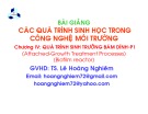 Bài giảng Các quá trình sinh học trong kỹ thuật môi trường - Chương 4: Quá trình sinh trưởng bám dính (Phần 1)