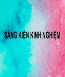 Sáng kiến kinh nghiệm: Kinh nghiệm tổ chức hoạt động tập thể trong công tác Đội