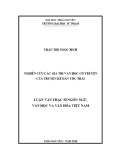 Luận văn Thạc sĩ Ngôn ngữ văn học và Văn học Việt Nam: Nghiên cứu các giá trị văn học cổ truyền của truyện kể dân tộc Thái