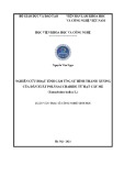 Luận văn Thạc sĩ Công nghệ sinh học: Nghiên cứu hoạt tính cảm ứng sự hình thành xương của dẫn xuất polysaccharide từ hạt cây me (Tamarindus indica L.)