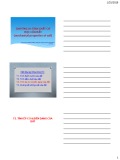 Bài giảng Cơ học đất - Chương 4.3: Tính chất cơ học của đất (Trần Thế Việt)
