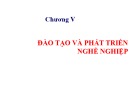 Bài giảng môn Quản trị nguồn nhân lực - Chương 5: Đào tạo và phát triển nghề nghiệp