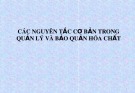 Bài giảng Các nguyên tắc cơ bản trong quản lý và bảo quản hóa chất