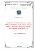 Tóm tắt Luận án Tiến sĩ Hóa học: Nghiên cứu thành phần hóa học và hoạt tính gây độc tế bào của hai loài Macaranga indica và Macaranga denticulata họ Thầu dầu (Euphorbiaceae) ở Việt Nam