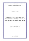 Luận án Tiến sĩ Kỹ thuật: Nghiên cứu đặc trưng hình học của nước nhảy đáy trong lòng dẫn lăng trụ mặt cắt ngang hình thang