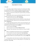 Nhận định về văn học