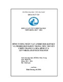 Khoá luận tốt nghiệp: Hình tượng nhân vật Andrei Bolkonsky và Pierre Bezukhov trong tiểu thuyết Chiến tranh và hòa bình của Lev Nikolayevich Tolstoy