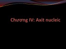 Bài giảng Hóa Sinh đại cương: Chương 4 - Axit nucleic