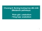 Bài giảng Hóa sinh và thí nghiệm hóa sinh: Chương 8 - Đường hướng trao đổi chất
