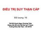 Bài giảng Điều trị suy thận cấp - ThS. BS Huỳnh Ngọc Phương Thảo