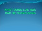 Bài giảng Nhiệt động lực học các hệ thống sống