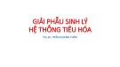 Bài giảng Giải phẫu sinh lý hệ thống tiêu hoá - ThS. BS. Trần Quang Thảo