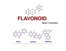 Bài giảng Kỹ thuật thu nhận hợp chất có hoạt tính sinh học từ thực vật: Chương 3 - Flavonoid