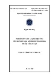 Luận án Tiến sĩ Vật lý địa cầu: Nghiên cứu ước lượng hiệu ứng nền đất khu vực nội thành thành phố Hà Nội và lân cận