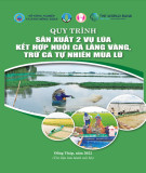 Quy trình sản xuất 2 vụ lúa kết hợp nuôi cá lăng vàng, trữ cá tự nhiên mùa lũ