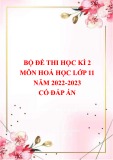 Bộ đề thi học kì 2 môn Hoá học lớp 11 năm 2022-2023 có đáp án