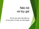 Bài giảng Não bộ và tủy gai - ThS. BS. Võ Thành Nghĩa