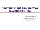 Bài giảng Cấu trúc vi thể bình thường của ống tiêu hóa - TS.BS. Hoàng Anh Vũ