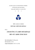Tiểu luận môn Biến đổi khí hậu: Ảnh hưởng của biến đổi khí hậu đến sức khỏe tinh thần