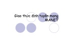 Bài giảng Các giao thức định tuyến: Giao thức định tuyến mạng MANET