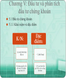 Bài giảng Thị trường chứng khoán: Chương 5 - Lê Đức Tố