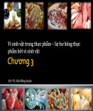 Bài giảng Vi sinh thực phẩm: Chương 3 - TS. Bùi Hồng Quân