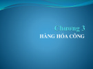 Bài giảng Tài chính công: Chương 3 - Lê Trường Hải
