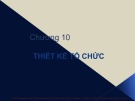 Bài giảng môn Quản trị học - Chương 10: Thiết kế tổ chức