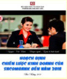 Luận văn Thạc sĩ Quản trị kinh doanh: Hoạch định chiến lược kinh doanh của Sacombank đến năm 2018