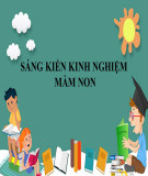 Sáng kiến kinh nghiệm THCS: Hệ thống kiến thức và xây dựng bài tập đánh giá năng lực hóa học của học sinh theo hướng tiếp cận PISA phần hóa nguyên tố phi kim