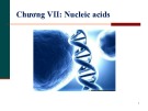 Bài giảng Sinh hoá đại cương (Sinh hoá tĩnh): Chương 7 - TS. Đoàn Thị Phương Thùy
