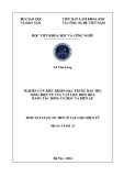 Tóm tắt Luận án Tiến sĩ Vật liệu điện tử: Nghiên cứu điều khiển đặc trưng hấp thụ sóng điện từ của vật liệu biến hóa bằng tác động cơ học và điện áp
