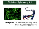 Bài giảng Sinh học đại cương A1: Chương 1 - TS. Đoàn Thị Phương Thùy